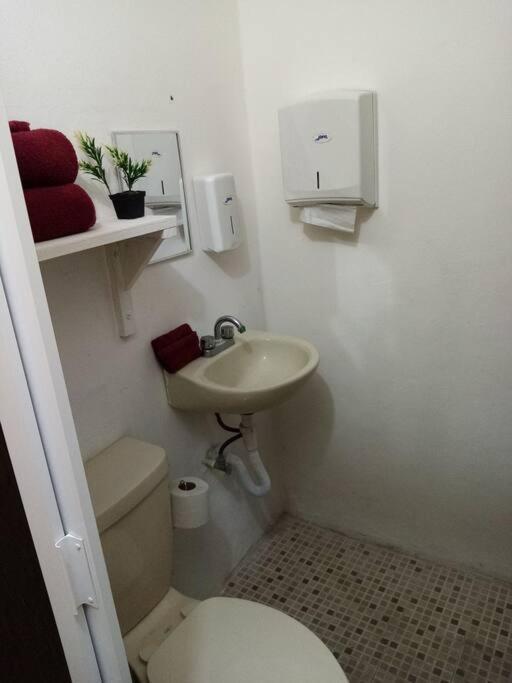 Departamento A/a Pie De Avenida Bonito Y Comodo. * Cozumel